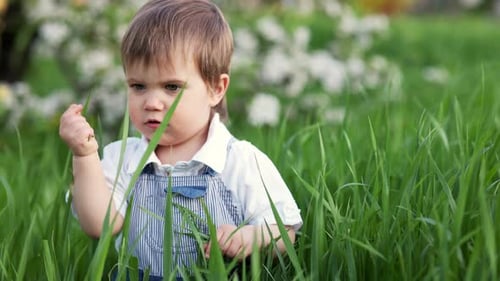 A Cute Child in a Blue Overalls and Blue Eyes Plays Funny in the Tall Green Grass in a Green