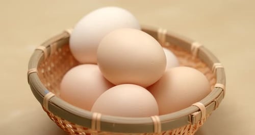 Chicken egg