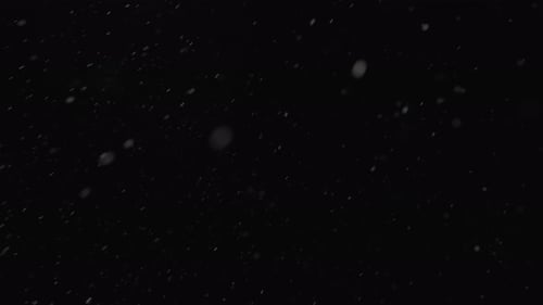 Real Snowfall Winter Snow with Wind Influence on Black Background