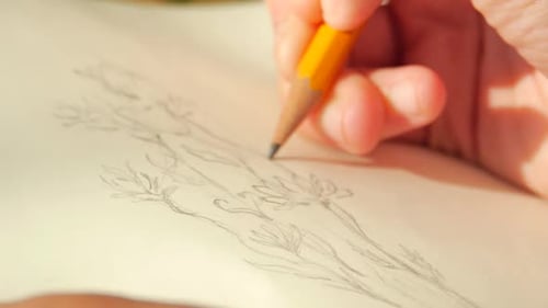 Detail of a woman painter/artist painting a picture of a wildflower, outdoors in the forest