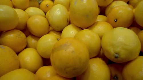 Pile Of Yellow Lemons On The Market Counter