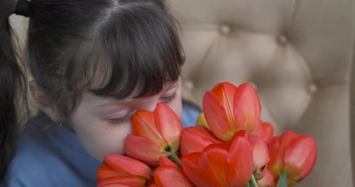 Delightful Girl Smells Fresh Tulips Bouquet Close Up