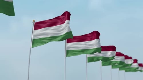Multiple Hungarian Flags Waving in Wind