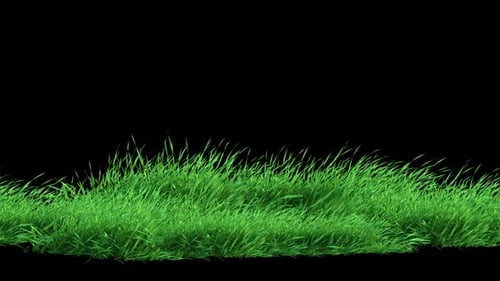 Grass Slow Wind Loop