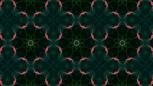 Abstract Red and Green Organic Mandala Kaleidoscope Pattern