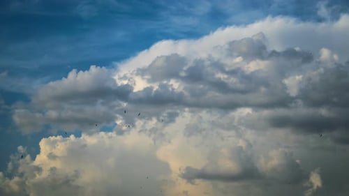 Billowing Clouds in a Bright Blue Sky