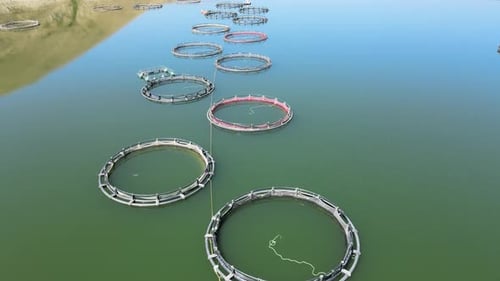 Fish Farming Cage