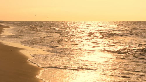 Sea