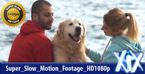 Couple With Pet Dog On Beach Together