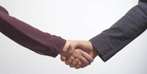 Business Handshake on White Background