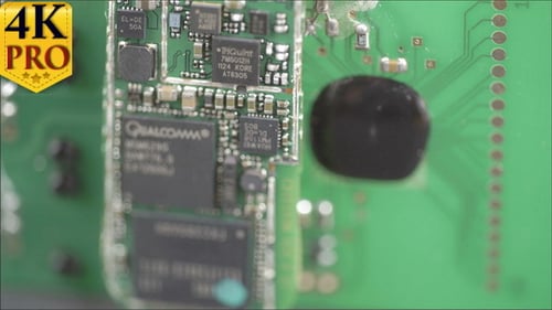 Regardons de plus près les micropuces