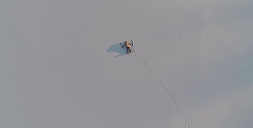 Aerial View of Person Making Snow Angel