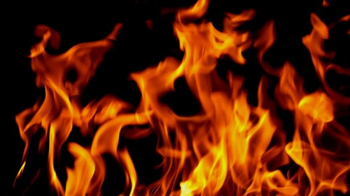 Vibrant Flames Dancing Against Black Background