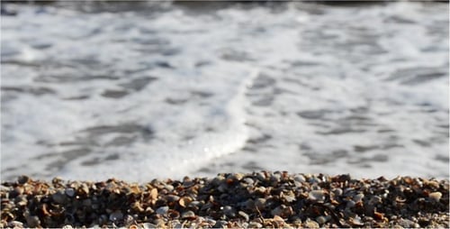 Sea