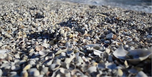 Sea 2