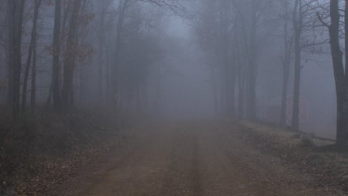 Scary Foggy Forest Road