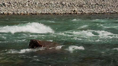 Fast Mountain River 1138