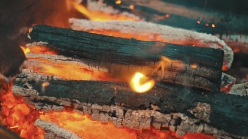 Bonfire Of Wood