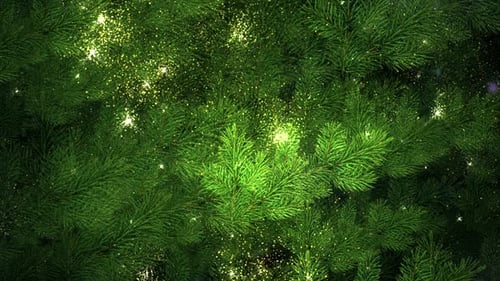 Christmas Evergreen Branches with Sparkling Golden Lights Background