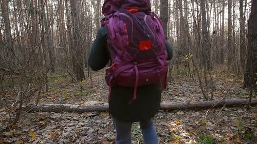 Hiking and Backpacking Concept. Hiker - Man Hiking in Forest. Caucasian Young Man Outdoors in Nature