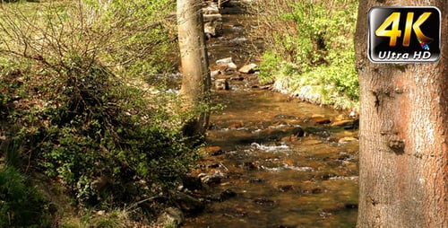 Waterfall Creek in Nature 1