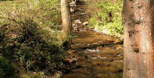 Waterfall Creek in der Natur 1