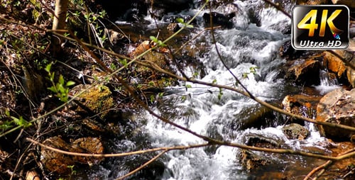 Waterfall Creek in Nature 2