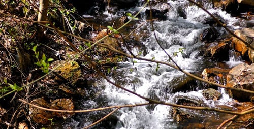 Waterfall Creek en la naturaleza 2