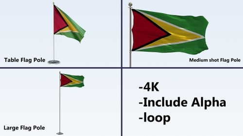 Animated Guyana Flag Waving Loop with Alpha Channel