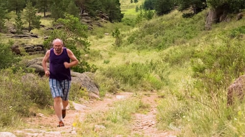 Man Jogging on the Mountain Valley 1527