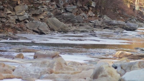 El río de montaña corre rápidamente