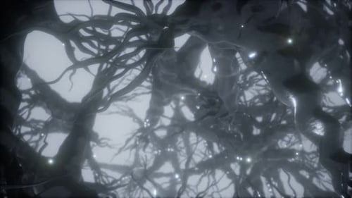 Reise durch ein Neuronenzellnetzwerk im Gehirn