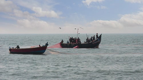 Fishermen In Boats Pulling Fishing Nets