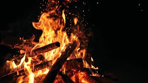 Bright Campfire Burning at Night