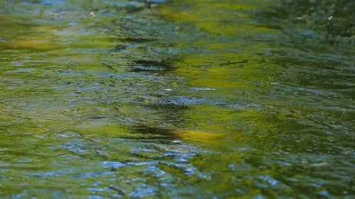 River Water Slowly Flowing