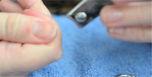 Close Up of Person Trimming Fingernails