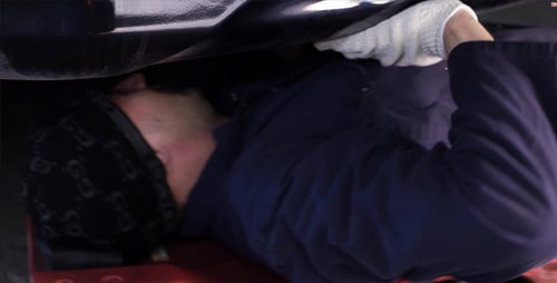 Inspektion des Fahrzeugs