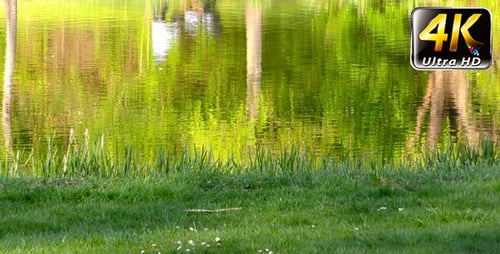 Spiegelungs-Silhouette der Menschen auf Green Lake 1