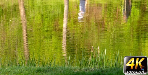 People Reflection Silhouette on Green Lake 2