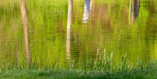 Spiegelungs-Silhouette der Menschen auf Green Lake 2