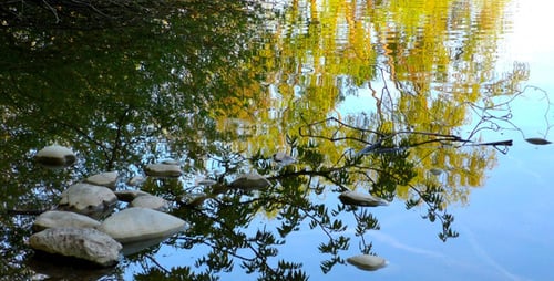 Steine auf dem Green Lake 1