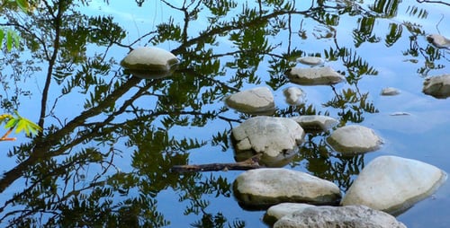 Steine auf Green Lake 2