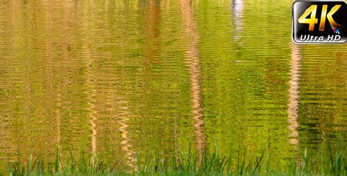 Spiegelungs-Silhouette der Menschen auf Green Lake 3