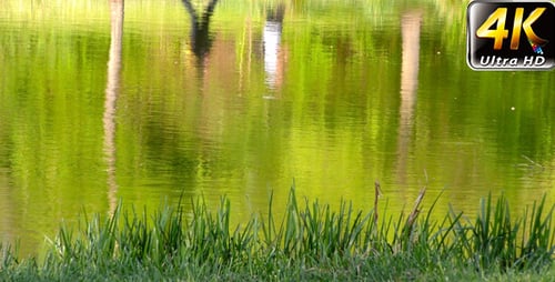 Silhouette de réflexion sur le lac vert 4