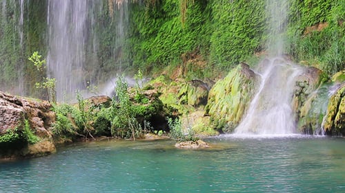 Waterfall In Forest