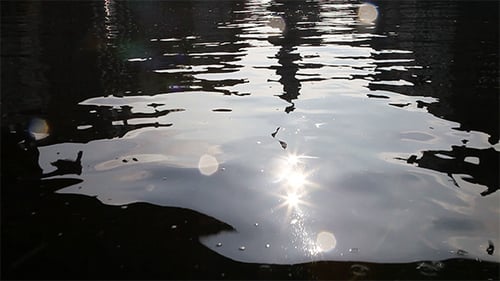 Rippling Water Surface with Sun Reflection