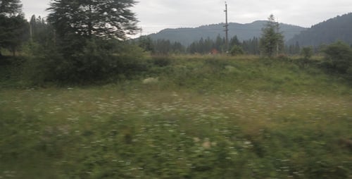 View From The Train Window