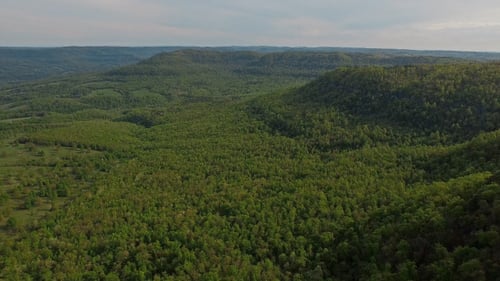 Lush Forest Mountain Aerial Fly Over