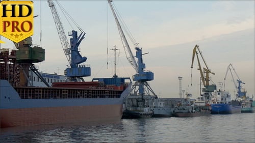 Die schöne Aussicht auf den Hafen