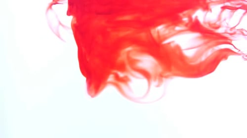 Red Ink Spreads in Abstract Close Up Shot